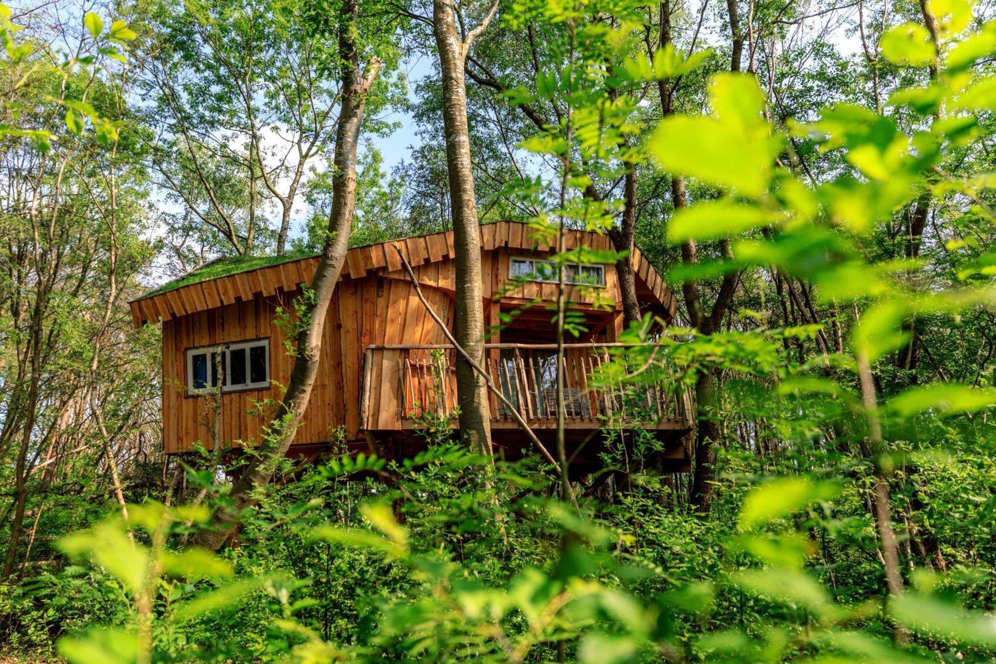 Camping De Reeenwissel Hoogersmilde 외부 사진
